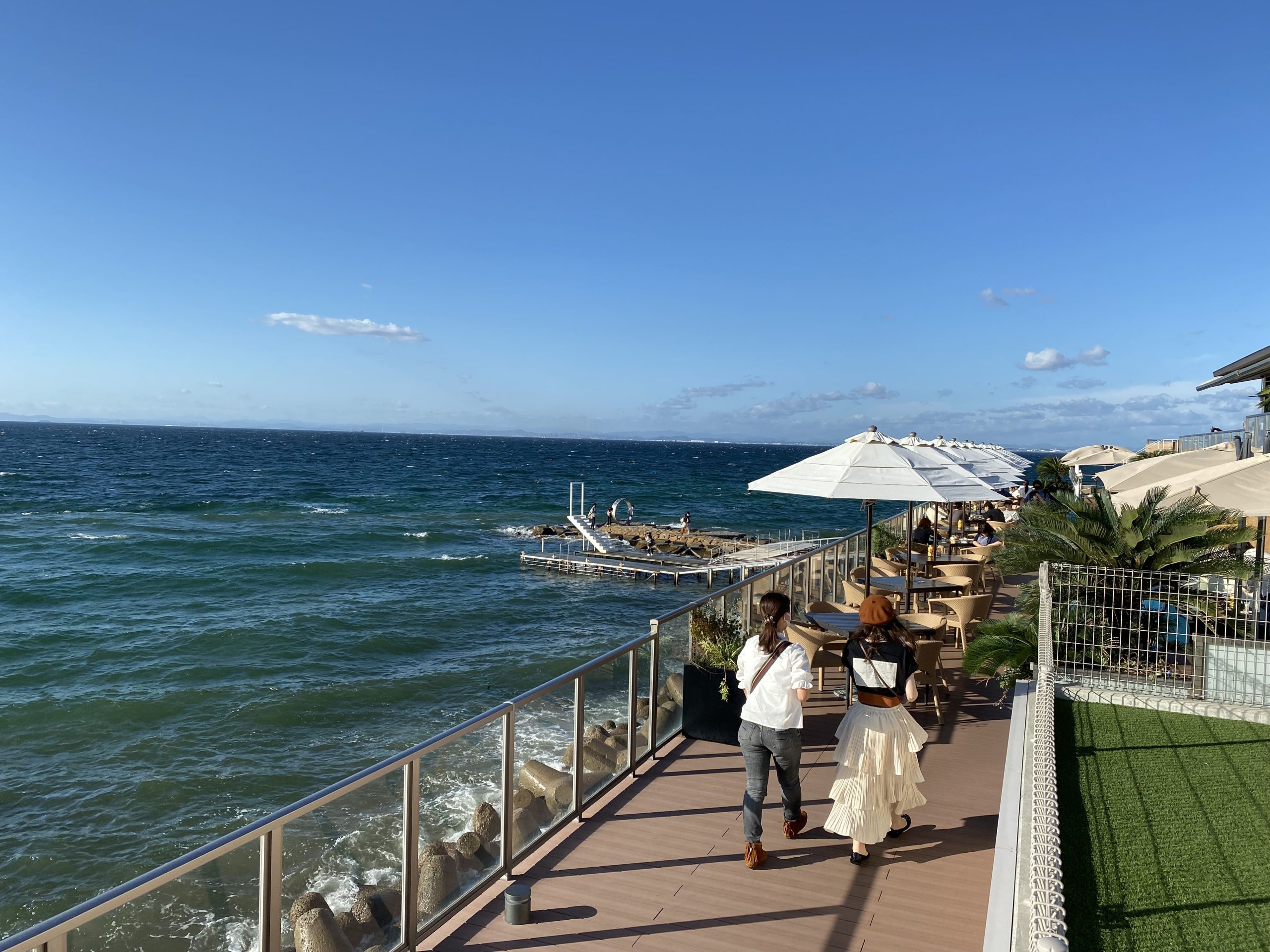 地域フィールド型