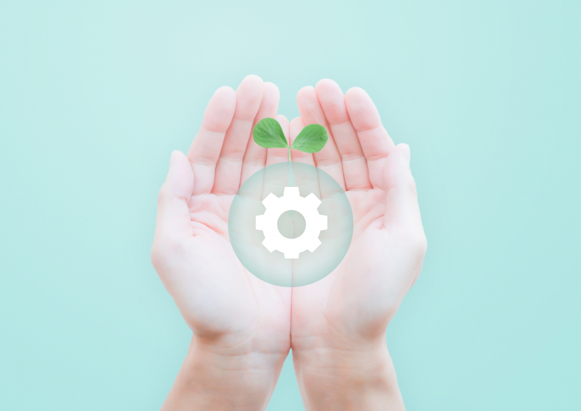 おもてなしはOSイメージ画像